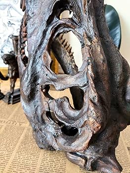 【DINOWORLD】ティラノサウルス 頭骨 化石 ジュラシックパーク DINOWORLD】ティラノサウルス 頭骨 化石 ジュラシックパーク